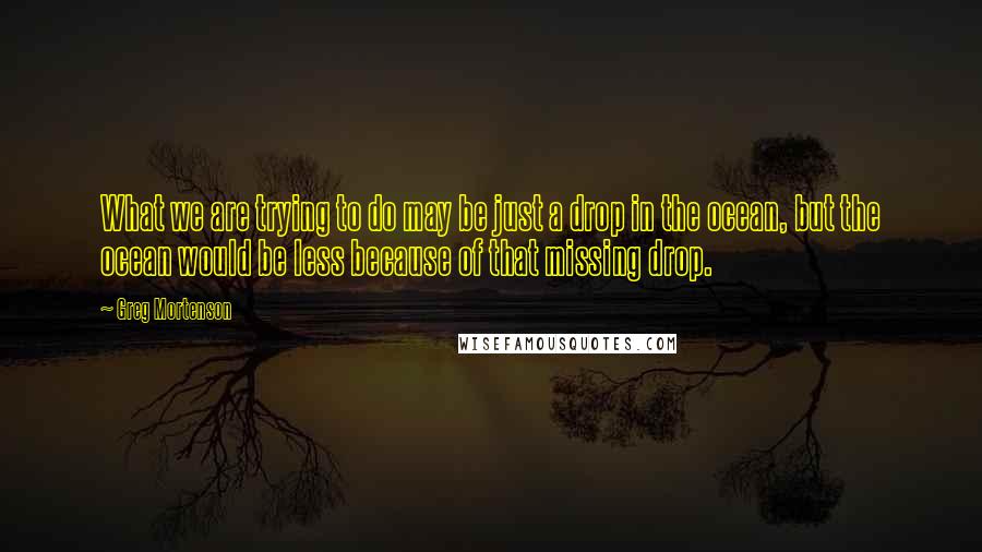 Greg Mortenson Quotes: What we are trying to do may be just a drop in the ocean, but the ocean would be less because of that missing drop.