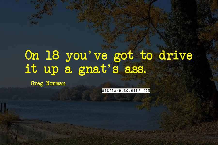 Greg Norman Quotes: On 18 you've got to drive it up a gnat's ass.