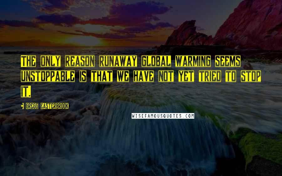 Gregg Easterbrook Quotes: The only reason runaway global warming seems unstoppable is that we have not yet tried to stop it.