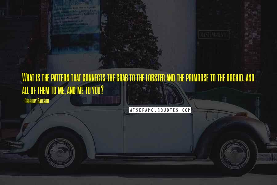 Gregory Bateson Quotes: What is the pattern that connects the crab to the lobster and the primrose to the orchid, and all of them to me, and me to you?