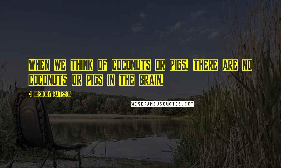 Gregory Bateson Quotes: When we think of coconuts or pigs, there are no coconuts or pigs in the brain.