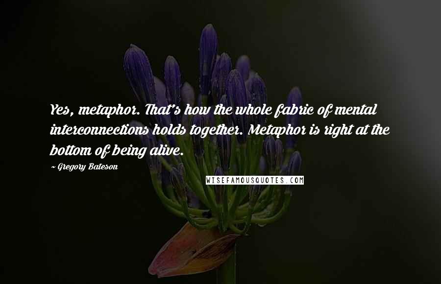 Gregory Bateson Quotes: Yes, metaphor. That's how the whole fabric of mental interconnections holds together. Metaphor is right at the bottom of being alive.