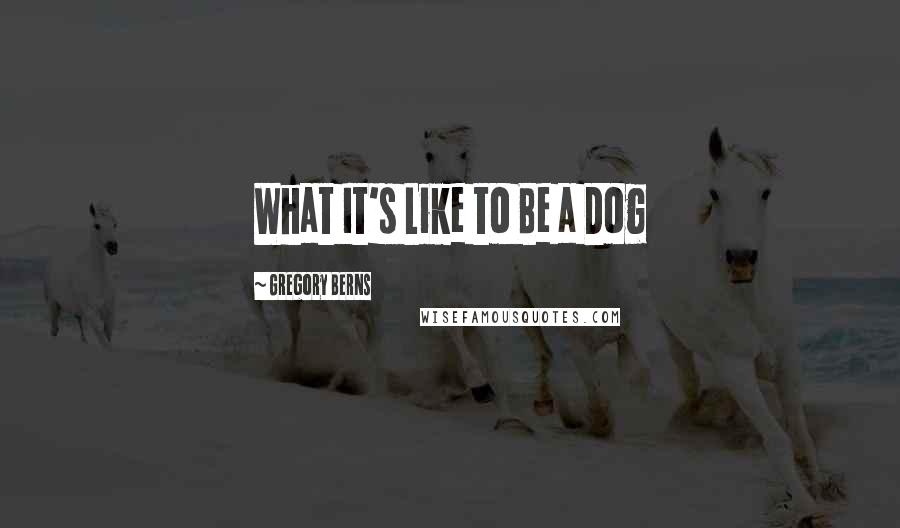 Gregory Berns Quotes: What It's Like to Be a Dog