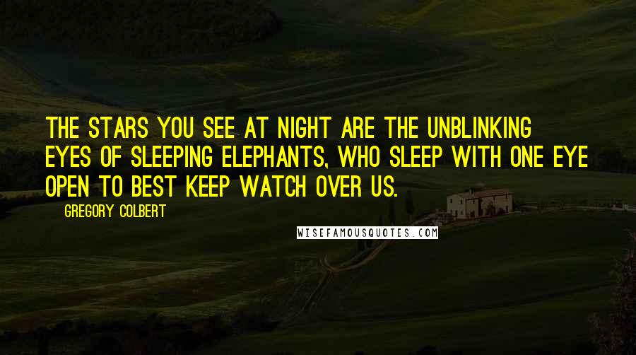 Gregory Colbert Quotes: The stars you see at night are the unblinking eyes of sleeping elephants, who sleep with one eye open to best keep watch over us.