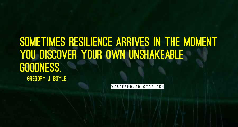 Gregory J. Boyle Quotes: Sometimes resilience arrives in the moment you discover your own unshakeable goodness.