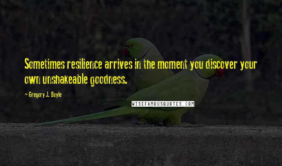 Gregory J. Boyle Quotes: Sometimes resilience arrives in the moment you discover your own unshakeable goodness.