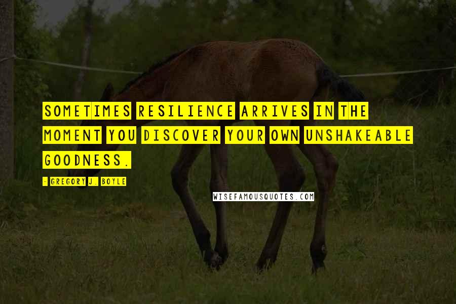 Gregory J. Boyle Quotes: Sometimes resilience arrives in the moment you discover your own unshakeable goodness.