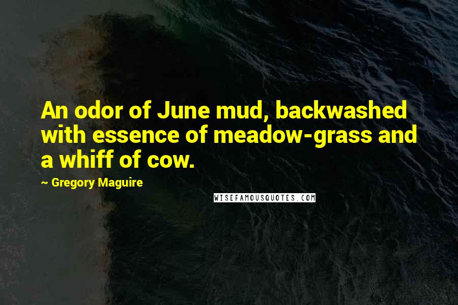 Gregory Maguire Quotes: An odor of June mud, backwashed with essence of meadow-grass and a whiff of cow.