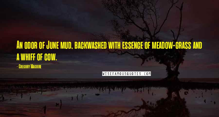 Gregory Maguire Quotes: An odor of June mud, backwashed with essence of meadow-grass and a whiff of cow.