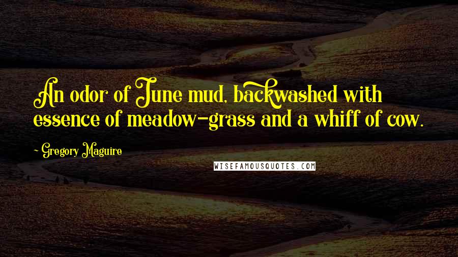 Gregory Maguire Quotes: An odor of June mud, backwashed with essence of meadow-grass and a whiff of cow.