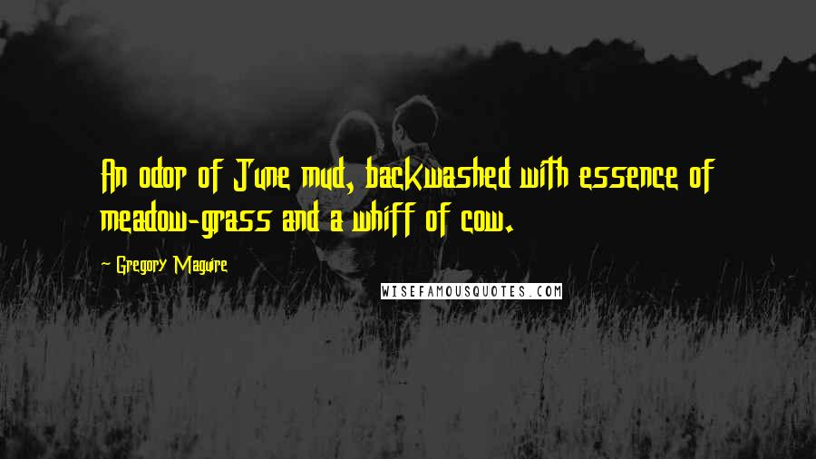 Gregory Maguire Quotes: An odor of June mud, backwashed with essence of meadow-grass and a whiff of cow.