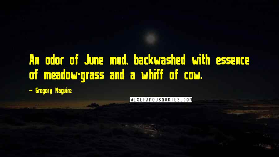 Gregory Maguire Quotes: An odor of June mud, backwashed with essence of meadow-grass and a whiff of cow.