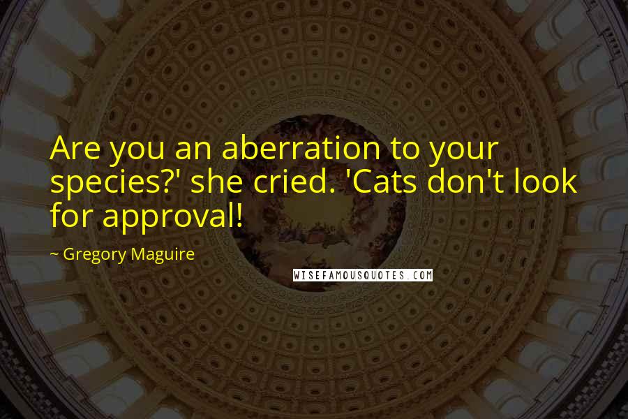 Gregory Maguire Quotes: Are you an aberration to your species?' she cried. 'Cats don't look for approval!