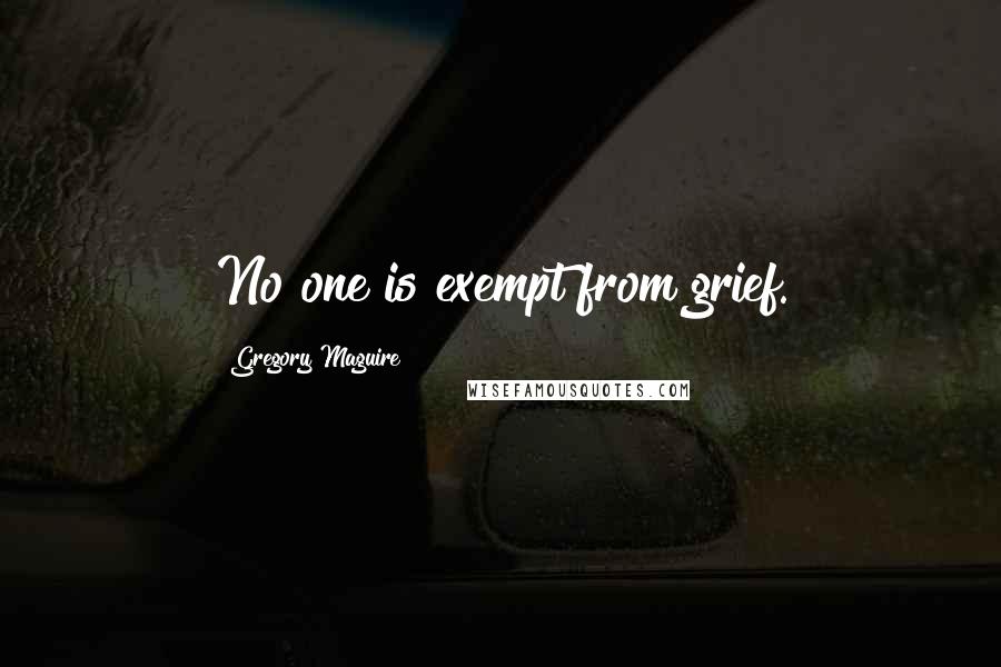 Gregory Maguire Quotes: No one is exempt from grief.