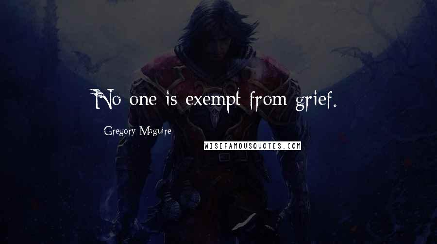 Gregory Maguire Quotes: No one is exempt from grief.
