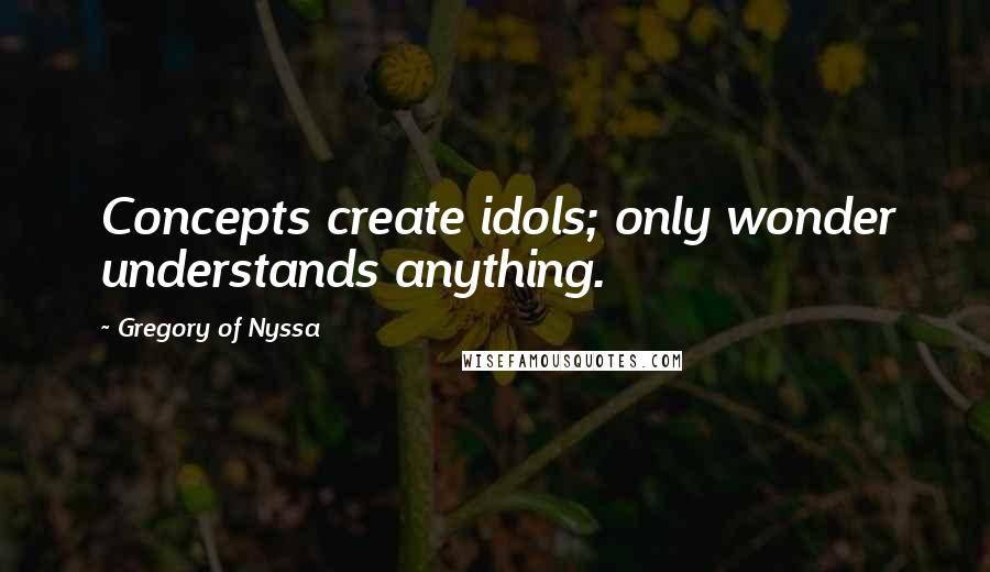 Gregory Of Nyssa Quotes: Concepts create idols; only wonder understands anything.