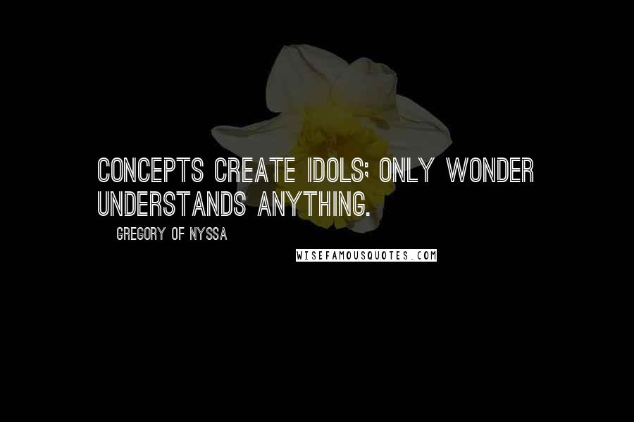 Gregory Of Nyssa Quotes: Concepts create idols; only wonder understands anything.