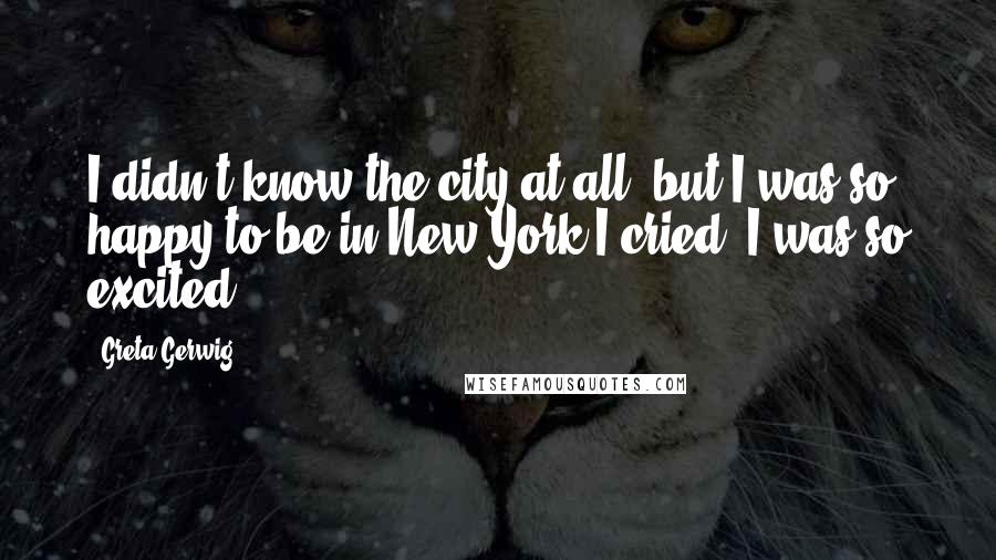 Greta Gerwig Quotes: I didn't know the city at all, but I was so happy to be in New York I cried. I was so excited.