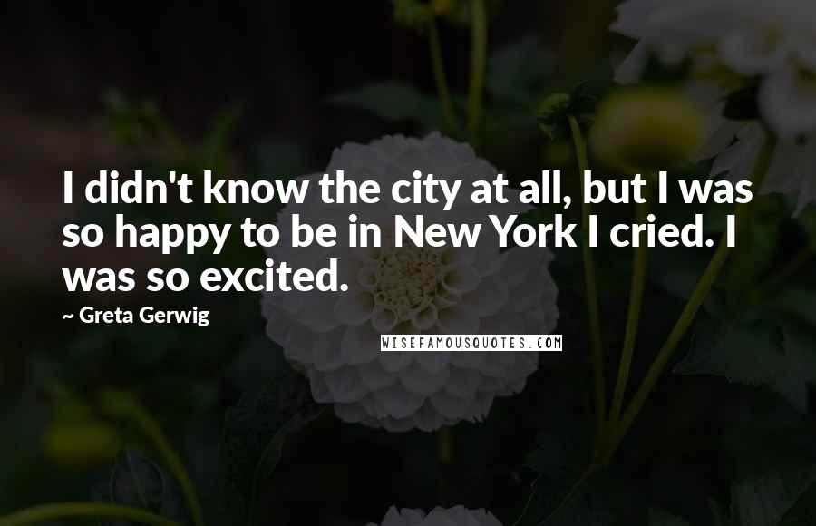 Greta Gerwig Quotes: I didn't know the city at all, but I was so happy to be in New York I cried. I was so excited.