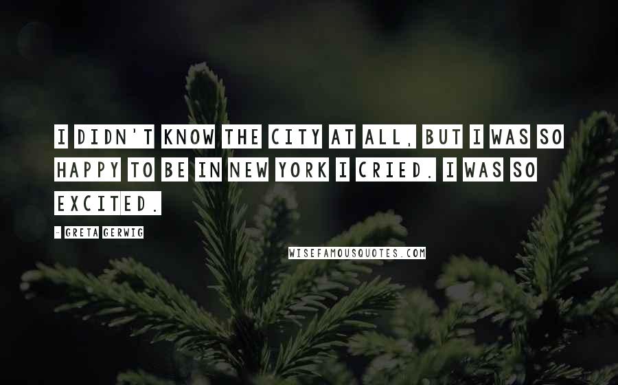 Greta Gerwig Quotes: I didn't know the city at all, but I was so happy to be in New York I cried. I was so excited.