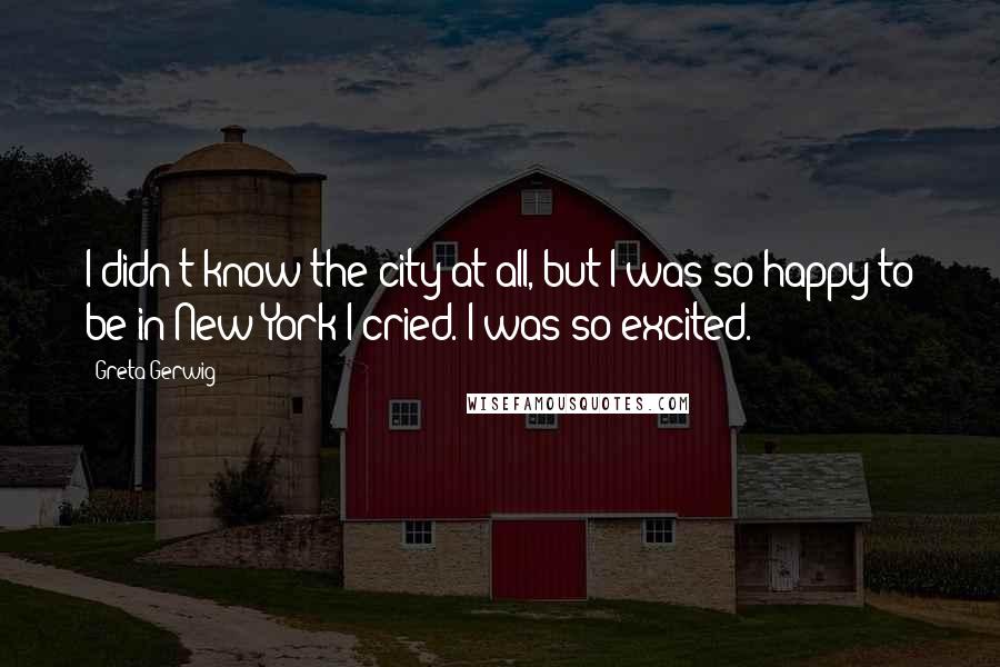 Greta Gerwig Quotes: I didn't know the city at all, but I was so happy to be in New York I cried. I was so excited.