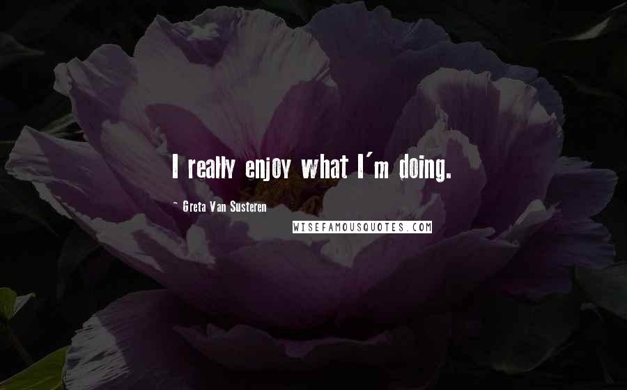Greta Van Susteren Quotes: I really enjoy what I'm doing.