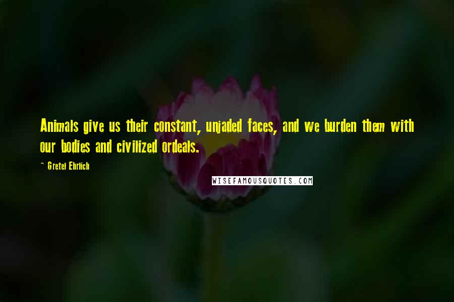 Gretel Ehrlich Quotes: Animals give us their constant, unjaded faces, and we burden them with our bodies and civilized ordeals.