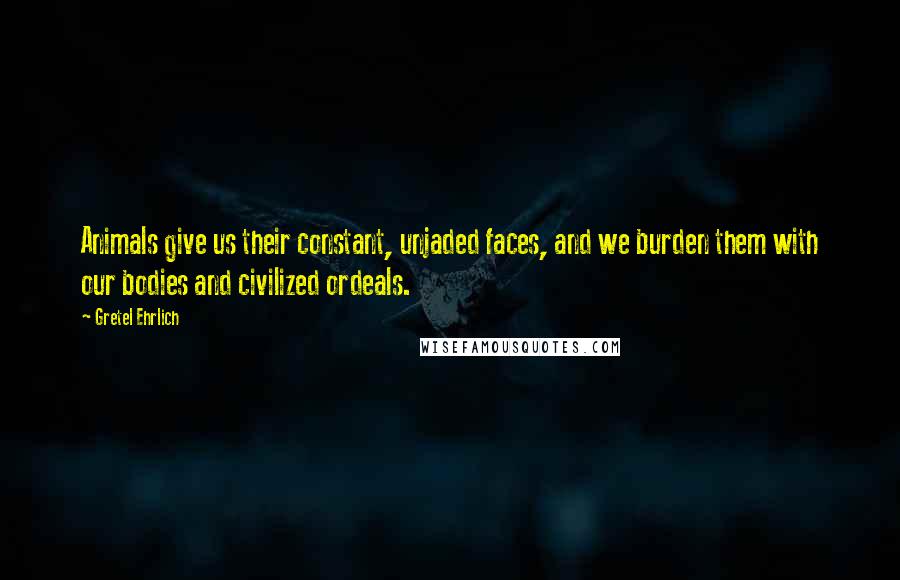 Gretel Ehrlich Quotes: Animals give us their constant, unjaded faces, and we burden them with our bodies and civilized ordeals.