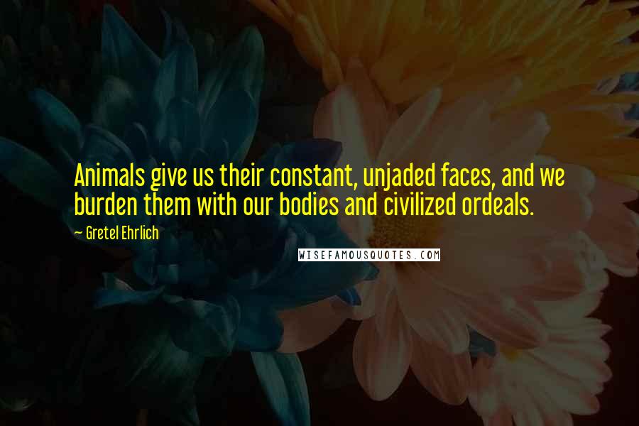 Gretel Ehrlich Quotes: Animals give us their constant, unjaded faces, and we burden them with our bodies and civilized ordeals.