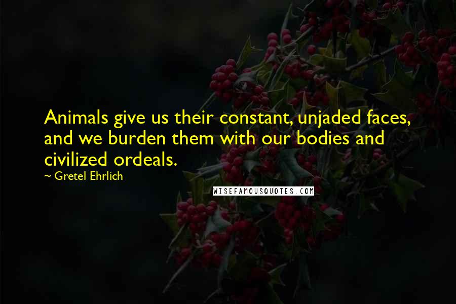 Gretel Ehrlich Quotes: Animals give us their constant, unjaded faces, and we burden them with our bodies and civilized ordeals.