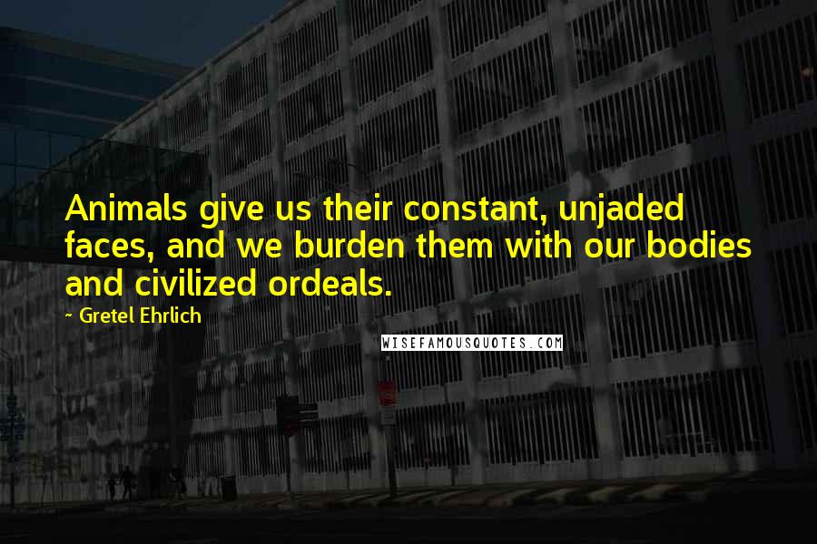 Gretel Ehrlich Quotes: Animals give us their constant, unjaded faces, and we burden them with our bodies and civilized ordeals.