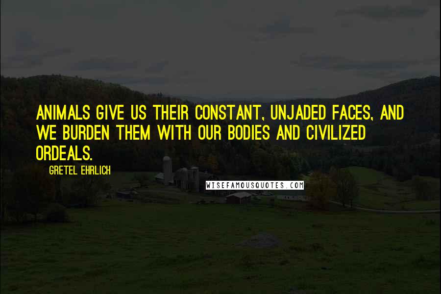 Gretel Ehrlich Quotes: Animals give us their constant, unjaded faces, and we burden them with our bodies and civilized ordeals.