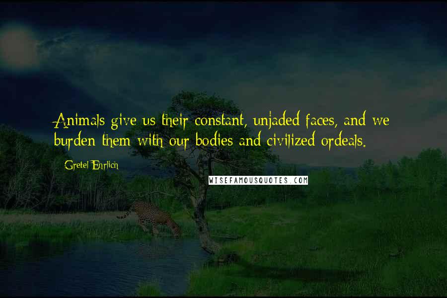 Gretel Ehrlich Quotes: Animals give us their constant, unjaded faces, and we burden them with our bodies and civilized ordeals.