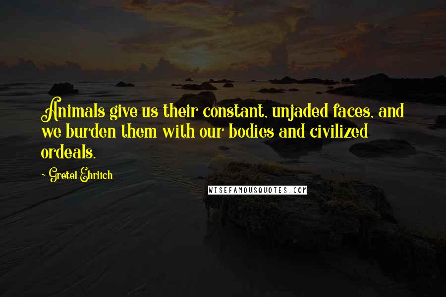 Gretel Ehrlich Quotes: Animals give us their constant, unjaded faces, and we burden them with our bodies and civilized ordeals.