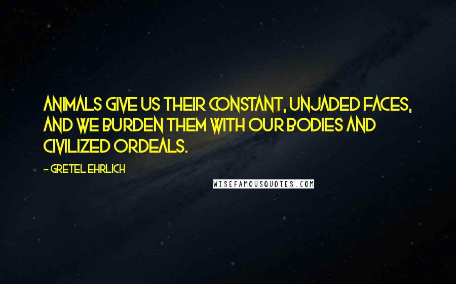 Gretel Ehrlich Quotes: Animals give us their constant, unjaded faces, and we burden them with our bodies and civilized ordeals.