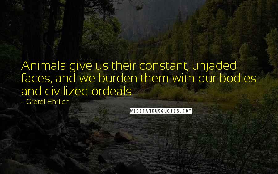 Gretel Ehrlich Quotes: Animals give us their constant, unjaded faces, and we burden them with our bodies and civilized ordeals.