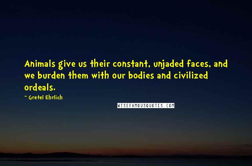 Gretel Ehrlich Quotes: Animals give us their constant, unjaded faces, and we burden them with our bodies and civilized ordeals.