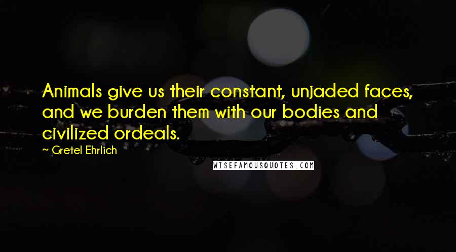 Gretel Ehrlich Quotes: Animals give us their constant, unjaded faces, and we burden them with our bodies and civilized ordeals.