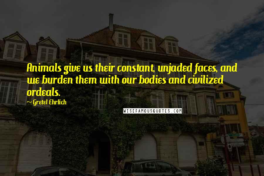 Gretel Ehrlich Quotes: Animals give us their constant, unjaded faces, and we burden them with our bodies and civilized ordeals.