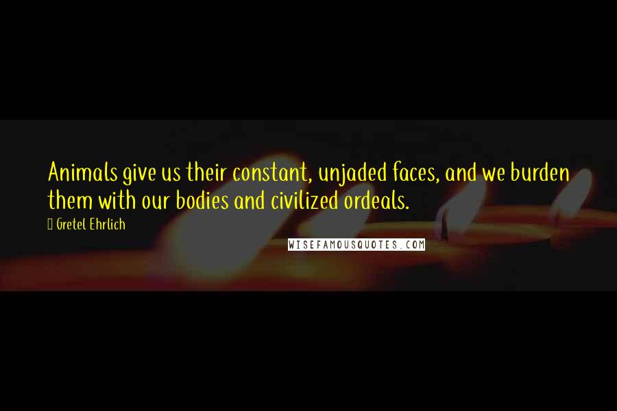 Gretel Ehrlich Quotes: Animals give us their constant, unjaded faces, and we burden them with our bodies and civilized ordeals.