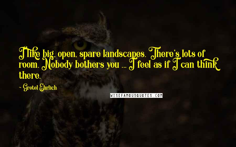 Gretel Ehrlich Quotes: I like big, open, spare landscapes. There's lots of room. Nobody bothers you ... I feel as if I can think there.