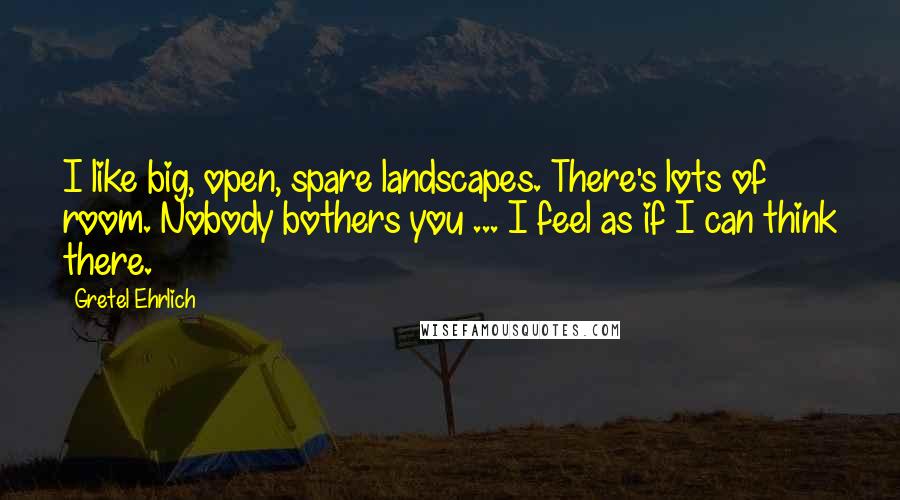 Gretel Ehrlich Quotes: I like big, open, spare landscapes. There's lots of room. Nobody bothers you ... I feel as if I can think there.