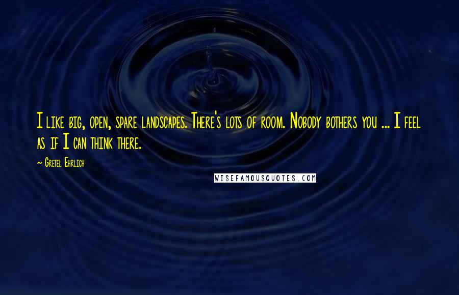 Gretel Ehrlich Quotes: I like big, open, spare landscapes. There's lots of room. Nobody bothers you ... I feel as if I can think there.