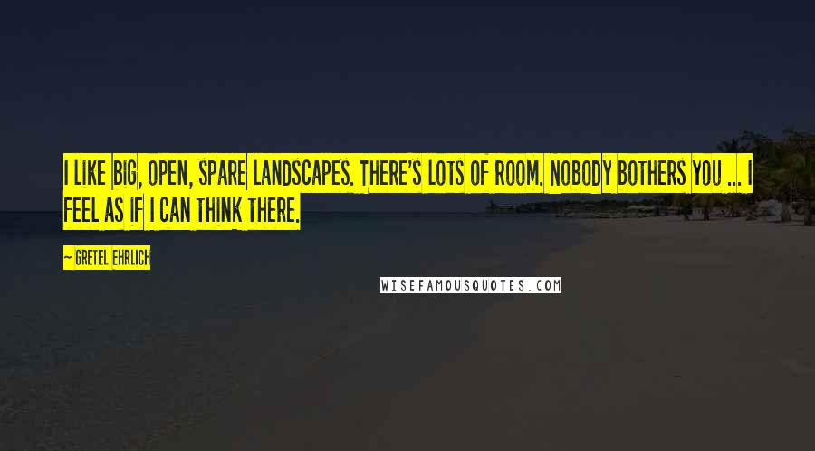 Gretel Ehrlich Quotes: I like big, open, spare landscapes. There's lots of room. Nobody bothers you ... I feel as if I can think there.