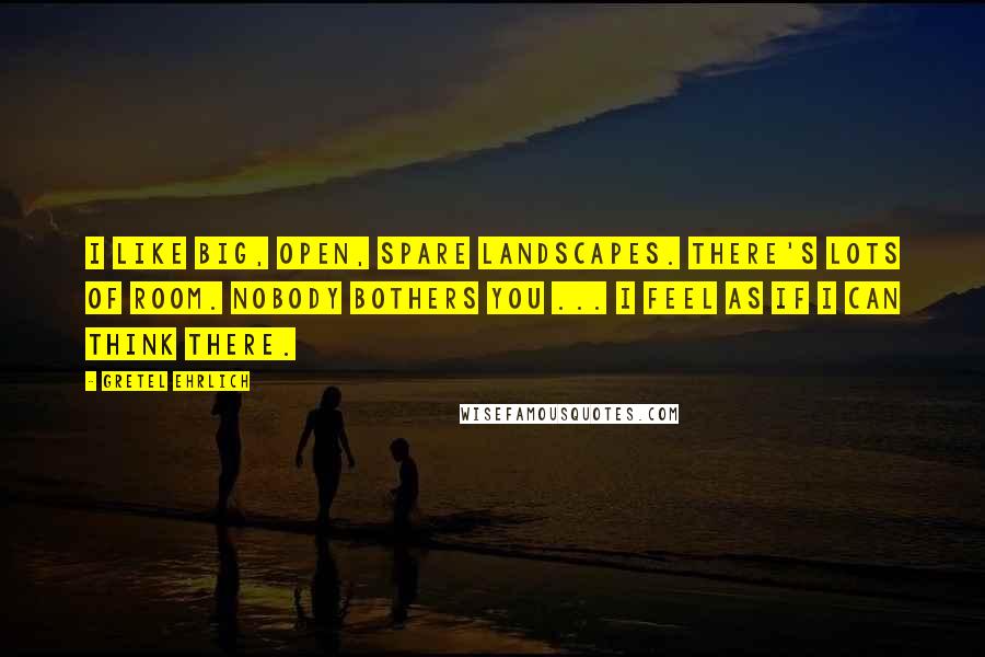 Gretel Ehrlich Quotes: I like big, open, spare landscapes. There's lots of room. Nobody bothers you ... I feel as if I can think there.