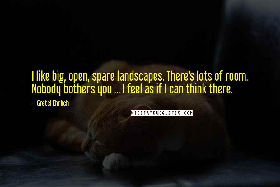 Gretel Ehrlich Quotes: I like big, open, spare landscapes. There's lots of room. Nobody bothers you ... I feel as if I can think there.