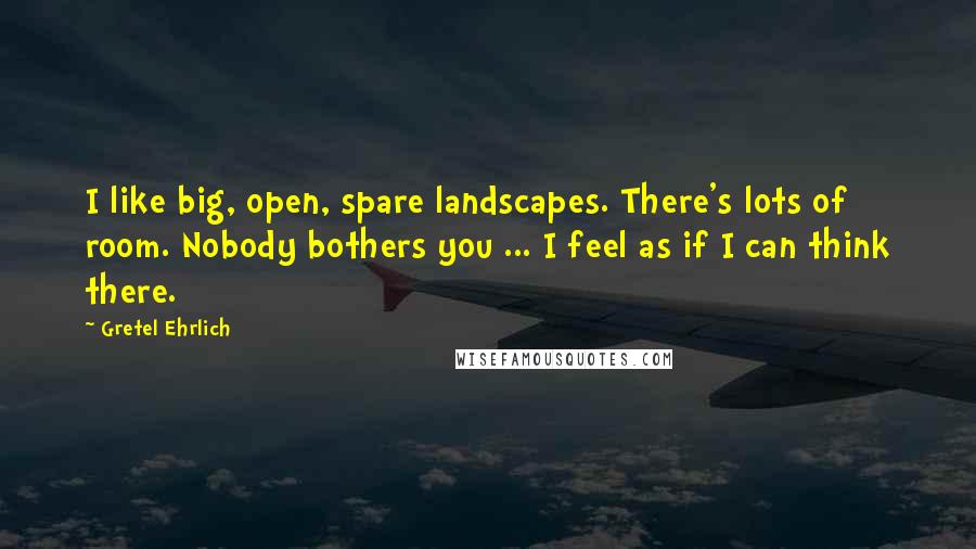 Gretel Ehrlich Quotes: I like big, open, spare landscapes. There's lots of room. Nobody bothers you ... I feel as if I can think there.