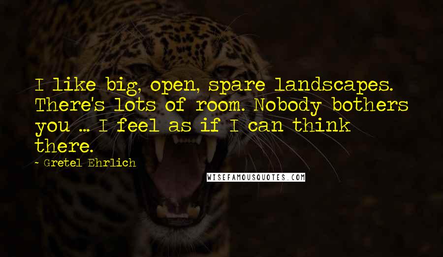 Gretel Ehrlich Quotes: I like big, open, spare landscapes. There's lots of room. Nobody bothers you ... I feel as if I can think there.