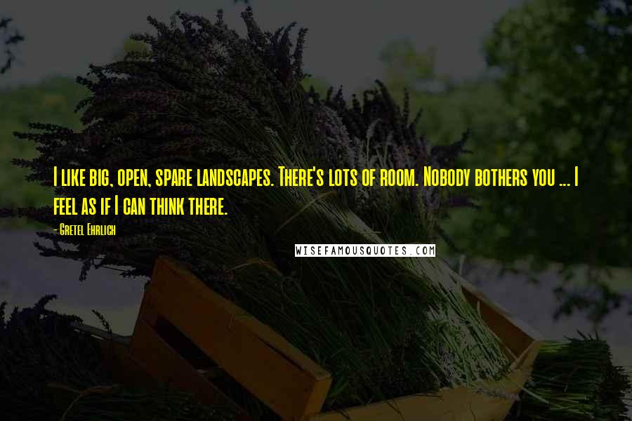 Gretel Ehrlich Quotes: I like big, open, spare landscapes. There's lots of room. Nobody bothers you ... I feel as if I can think there.