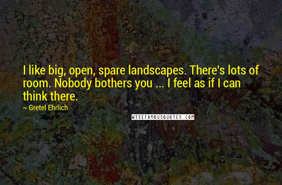 Gretel Ehrlich Quotes: I like big, open, spare landscapes. There's lots of room. Nobody bothers you ... I feel as if I can think there.